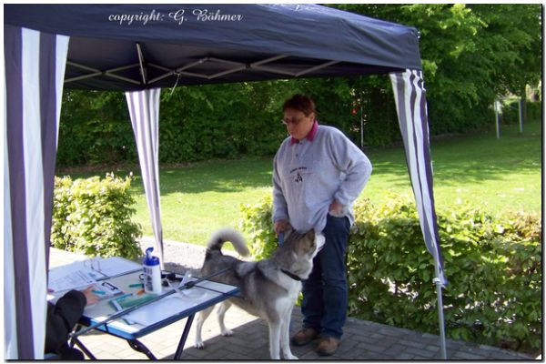 Zuchtzulassung 2010 051.JPG